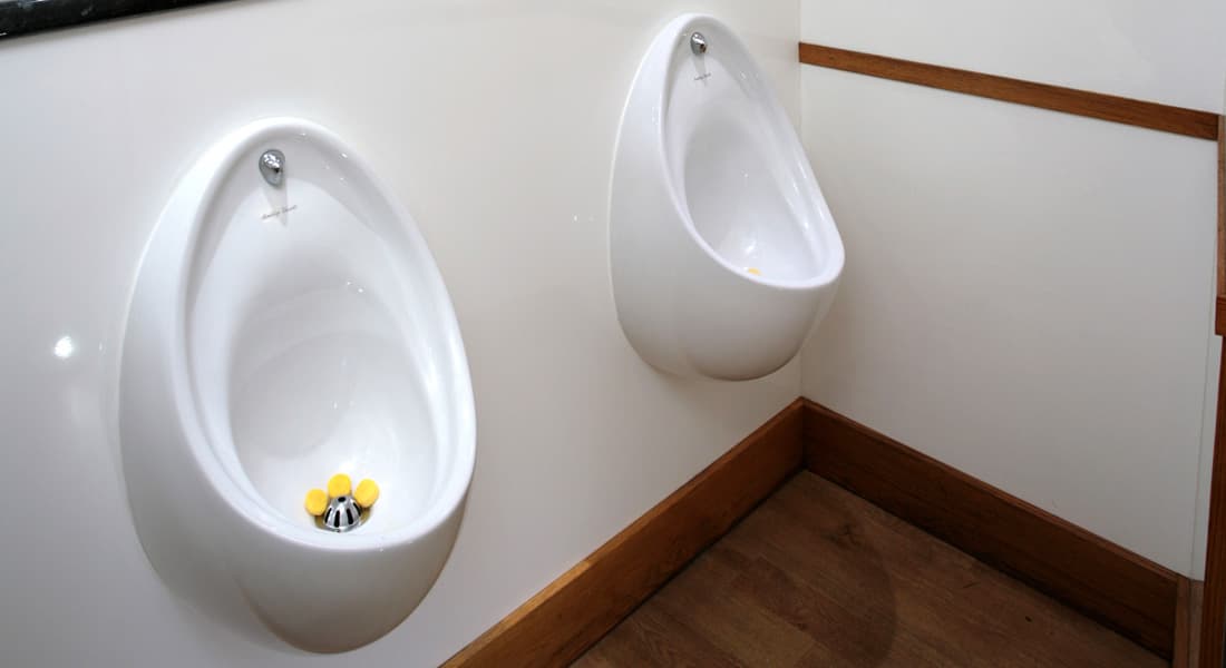 Luxury Balmoral toilet